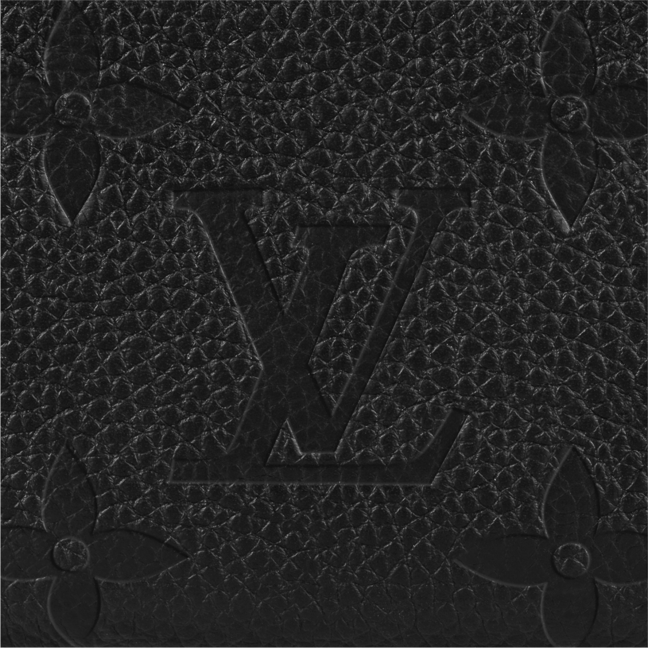 Louis Vuitton Key Pouch